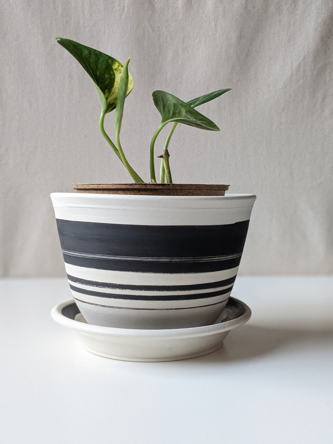 Black and White Strikethrough Planter and Saucer Combo